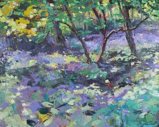 Bluebell Glade